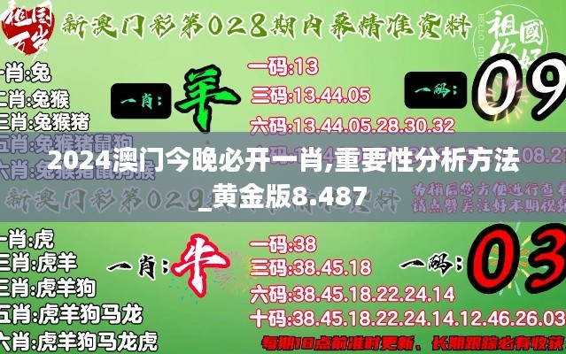 2024澳门今晚必开一肖,重要性分析方法_黄金版8.487