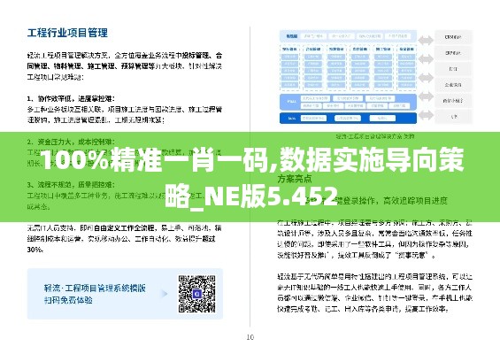 100%精准一肖一码,数据实施导向策略_NE版5.452