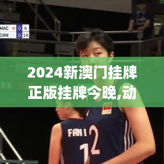 2024新澳门挂牌正版挂牌今晚,动态词汇解析_专属款15.727