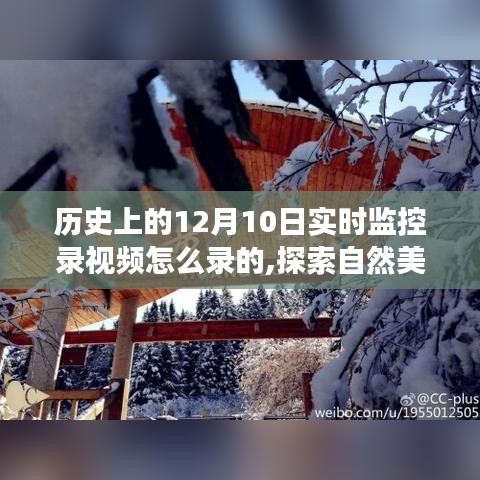 历史上的12月10日，自然美景之旅的实时记录与心灵瞬间的捕捉