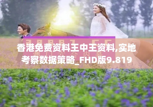 香港免费资料王中王资料,实地考察数据策略_FHD版9.819