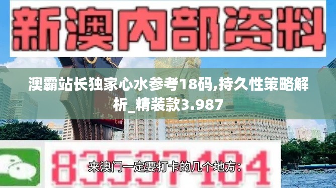 澳霸站长独家心水参考18码,持久性策略解析_精装款3.987