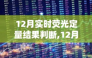 12月实时荧光定量结果判断详解，指南与解析