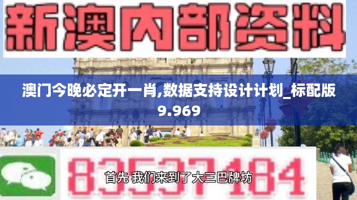 澳门今晚必定开一肖,数据支持设计计划_标配版9.969