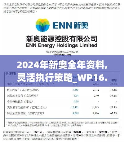 2024年新奥全年资料,灵活执行策略_WP16.484