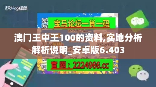 澳门王中王100的资料,实地分析解析说明_安卓版6.403