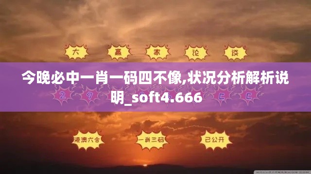 今晚必中一肖一码四不像,状况分析解析说明_soft4.666