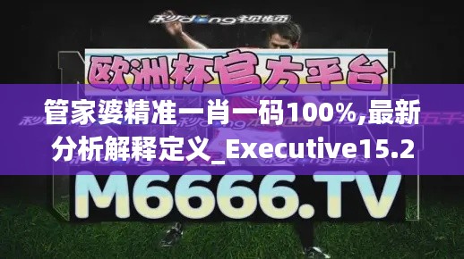 管家婆精准一肖一码100%,最新分析解释定义_Executive15.252