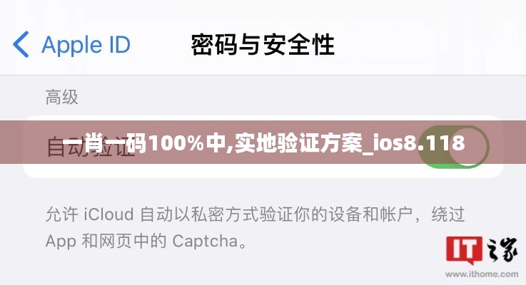 一肖一码100%中,实地验证方案_ios8.118