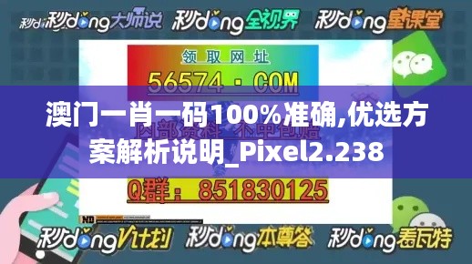 澳门一肖一码100%准确,优选方案解析说明_Pixel2.238