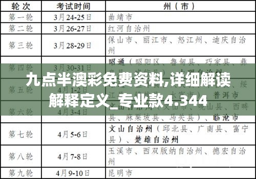 九点半澳彩免费资料,详细解读解释定义_专业款4.344