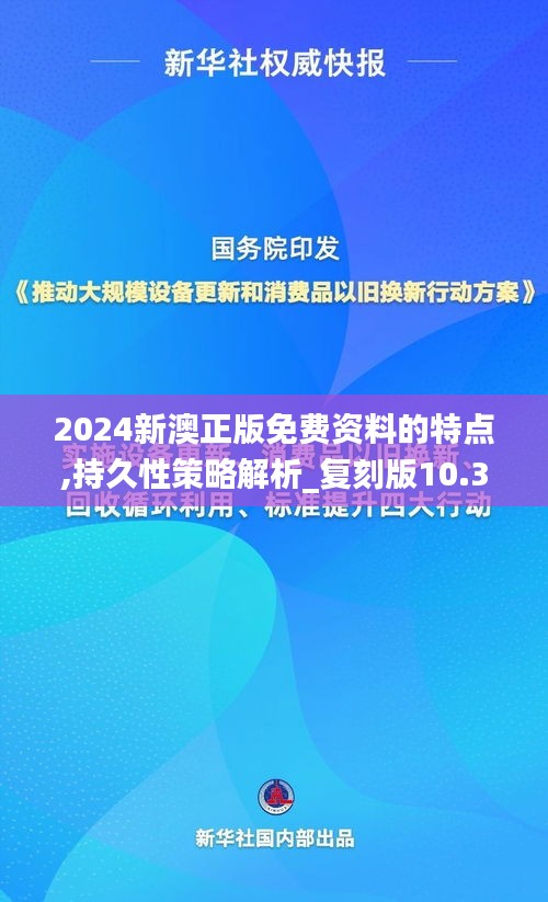 2024新澳正版免费资料的特点,持久性策略解析_复刻版10.361