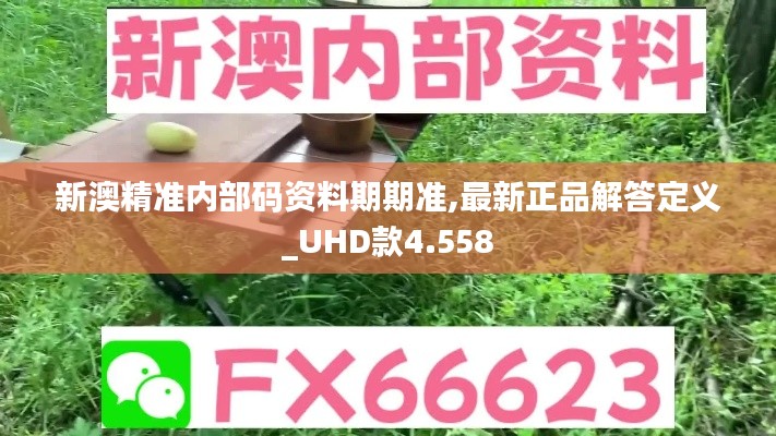 新澳精准内部码资料期期准,最新正品解答定义_UHD款4.558