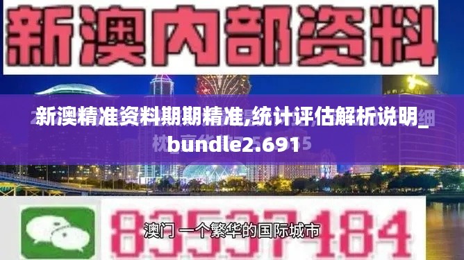 新澳精准资料期期精准,统计评估解析说明_bundle2.691