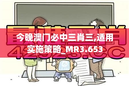 今晚澳门必中三肖三,适用实施策略_MR3.653