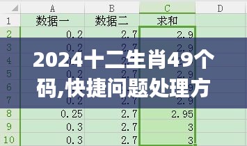 2024十二生肖49个码,快捷问题处理方案_3D9.923