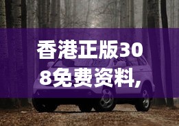 香港正版308免费资料,精细设计计划_复古款4.548