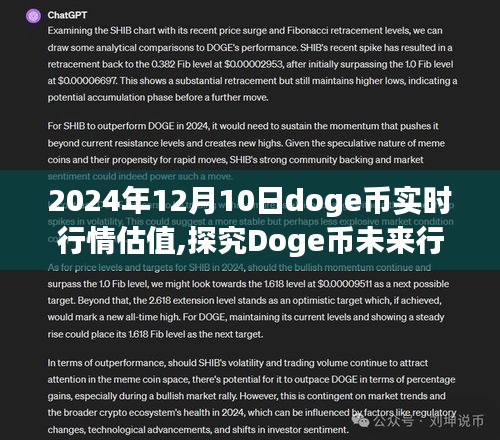 探究Doge币未来行情，2024年12月10日实时行情估值与观点分析