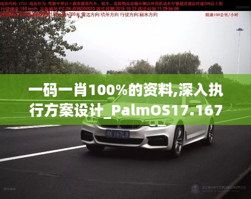 一码一肖100%的资料,深入执行方案设计_PalmOS17.167