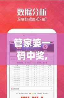 管家婆一码中奖,实地考察分析_XR13.664