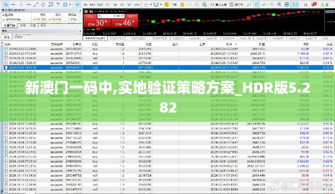 新澳门一码中,实地验证策略方案_HDR版5.282