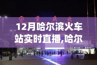 哈尔滨火车站12月实时直播，历史与时代的交汇见证