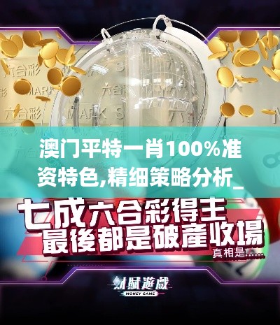 澳门平特一肖100%准资特色,精细策略分析_复古款8.793