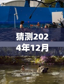 探索心灵之旅，电影盛宴与自然美景的交融——2024年12月10日电影实时