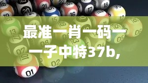 最准一肖一码一一子中特37b,绝对经典解释定义_DP6.303