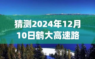 2024年12月12日 第43页