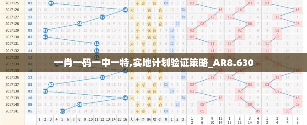 一肖一码一中一特,实地计划验证策略_AR8.630