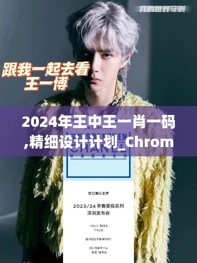 2024年王中王一肖一码,精细设计计划_Chromebook9.828