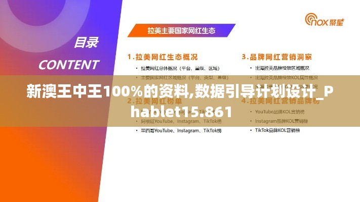 新澳王中王100%的资料,数据引导计划设计_Phablet15.861