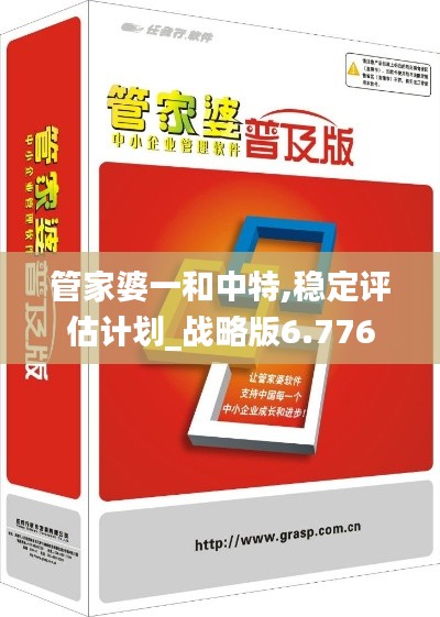 管家婆一和中特,稳定评估计划_战略版6.776