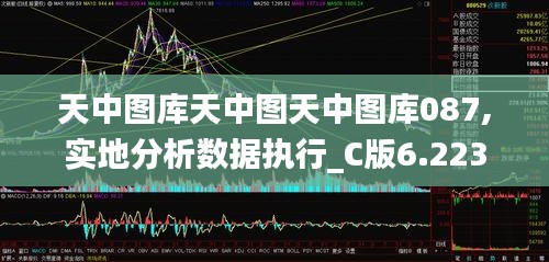 天中图库天中图天中图库087,实地分析数据执行_C版6.223