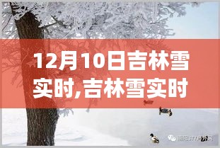 吉林雪实时，记忆与时代的印记，一场雪的故事