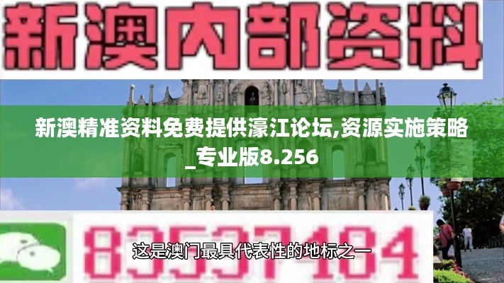 新澳精准资料免费提供濠江论坛,资源实施策略_专业版8.256