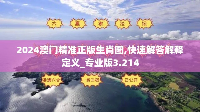 2024澳门精准正版生肖图,快速解答解释定义_专业版3.214