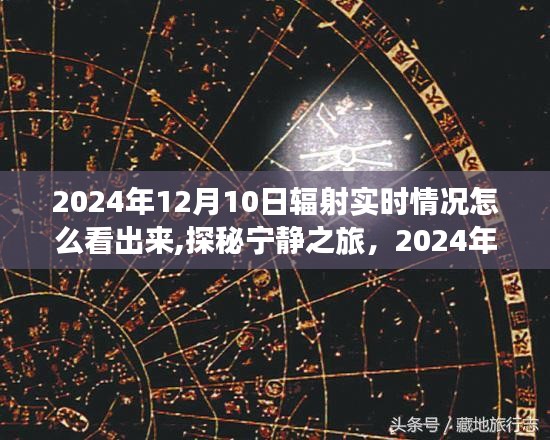 探秘宁静之旅，揭秘2024年12月10日辐射实时情况及心灵之旅体验