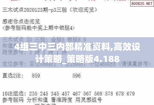 4组三中三内部精准资料,高效设计策略_策略版4.188