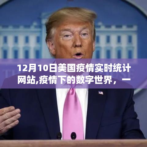 美国疫情实时统计网站之旅，数字世界的温馨与趣味