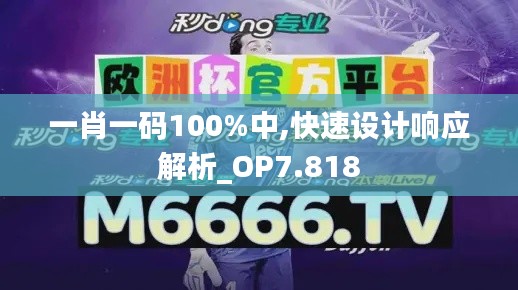 一肖一码100%中,快速设计响应解析_OP7.818