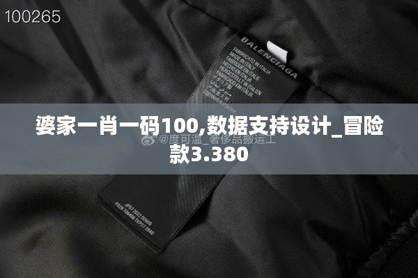 婆家一肖一码100,数据支持设计_冒险款3.380