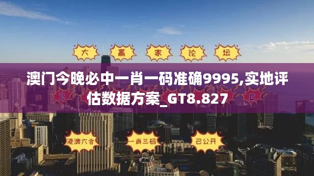 澳门今晚必中一肖一码准确9995,实地评估数据方案_GT8.827