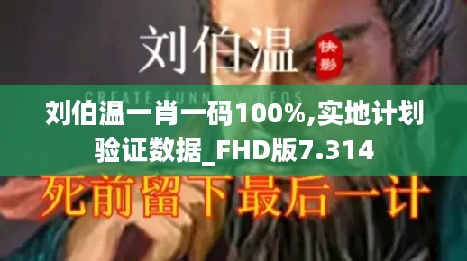 刘伯温一肖一码100%,实地计划验证数据_FHD版7.314