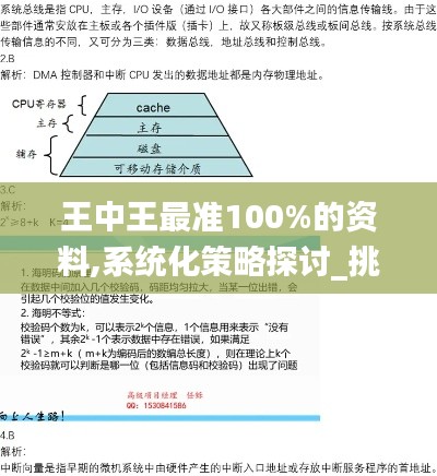 王中王最准100%的资料,系统化策略探讨_挑战版9.555