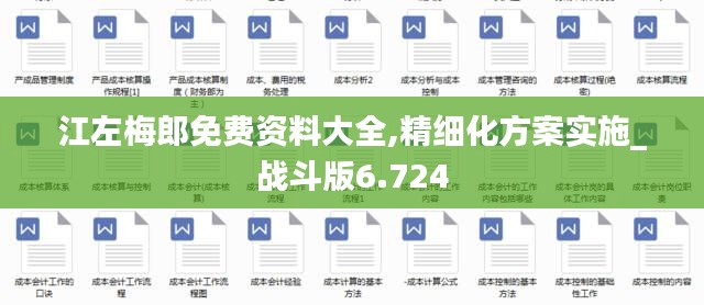 江左梅郎免费资料大全,精细化方案实施_战斗版6.724