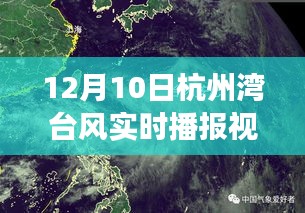 杭州湾台风下的自然秘境探寻，启程寻找内心的宁静港湾实时播报视频