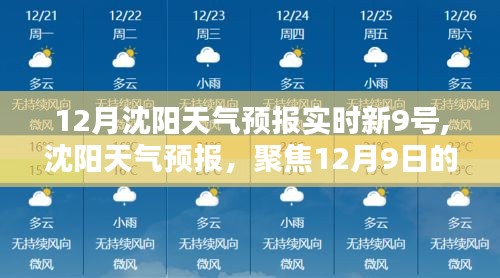 沈阳天气预报实时更新，聚焦十二月九日天气动态