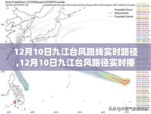 2024年12月12日 第19页